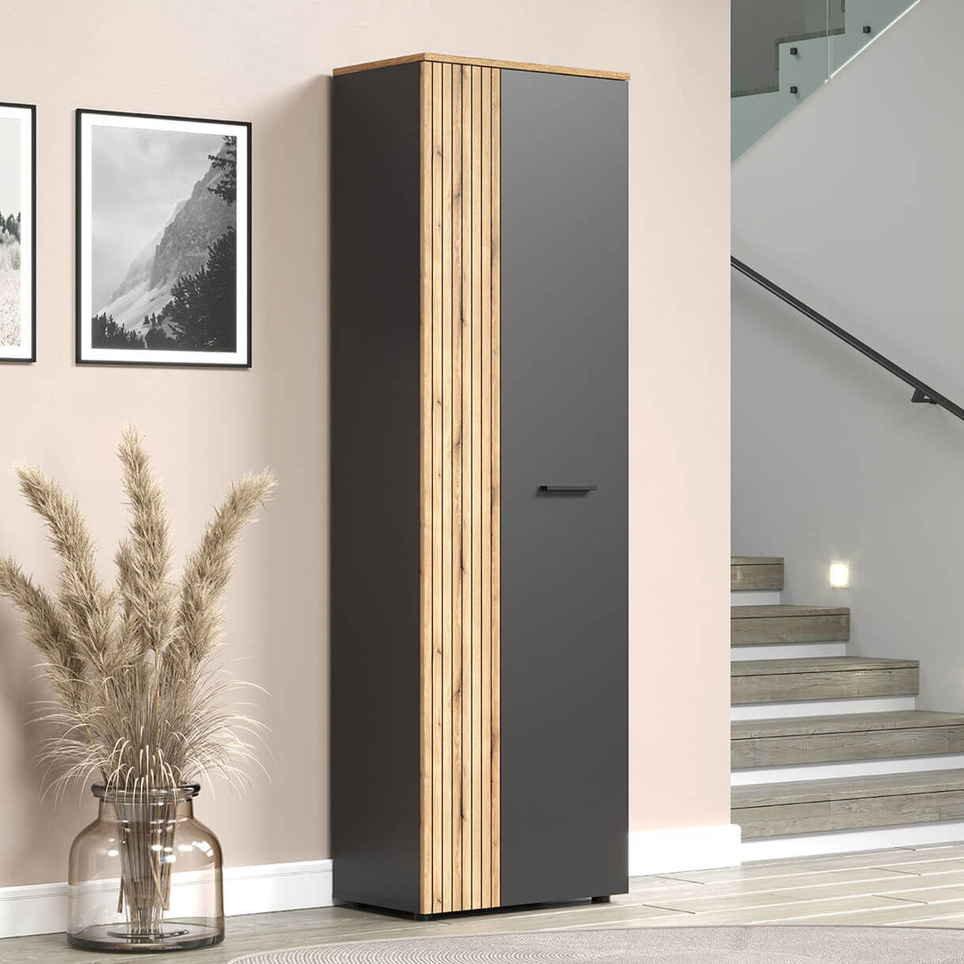 Фото шафи ESTEBAN MEBELBOS 2D/40 в інтер'єрі 