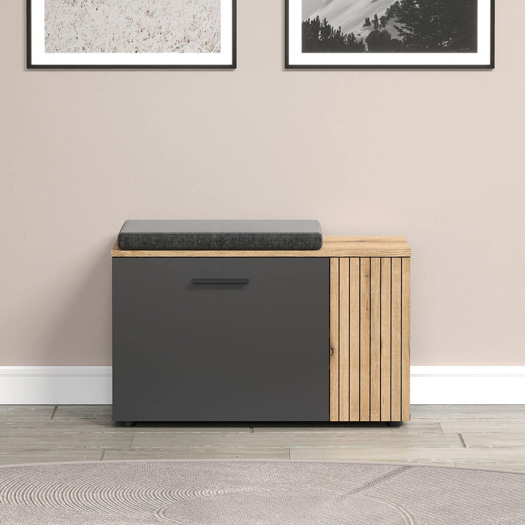 Фото вигляду спереду тумби для взуття ESTEBAN MEBELBOS 1D1K в інтер'єрі