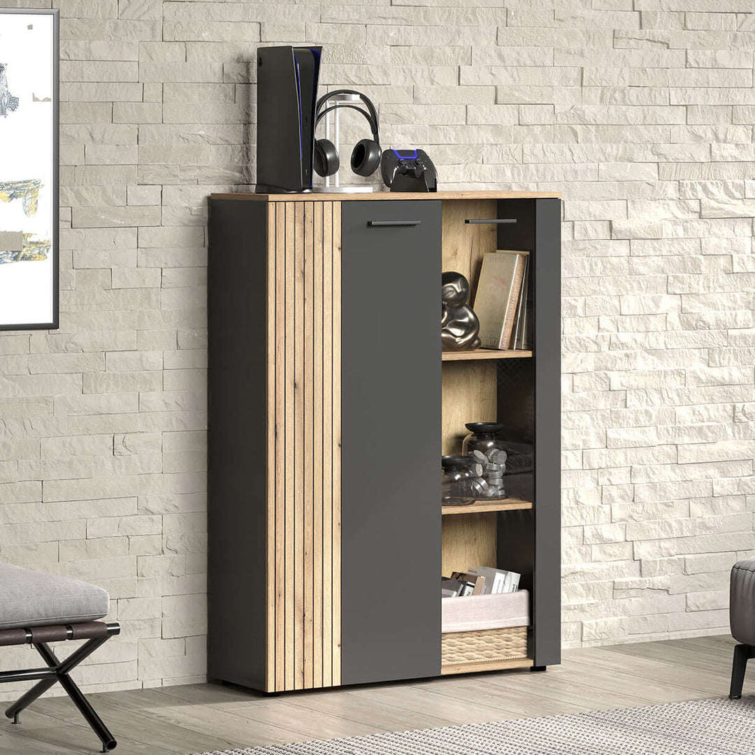 Фото низької вітрини ESTEBAN MEBELBOS 2D1W в інтер'єрі