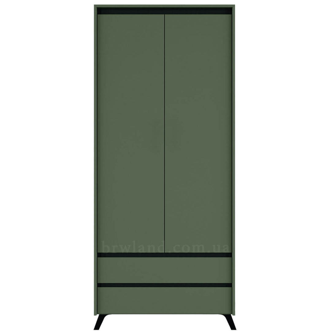 Фото шафи ЛАУНДЖ БРВ SZF2D2S зелений димчастий / чорний