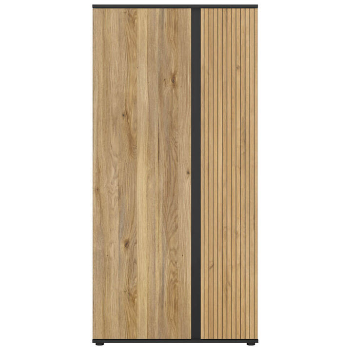 Фото шафи LUEN BRW SZF2D